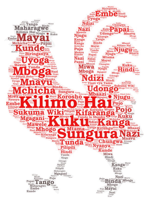 Fikirini-Products-in-Swahili.png